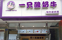 一只酸奶牛加盟费是多少